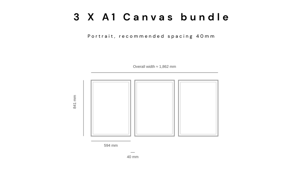 3 X A1 Canvas Bundle