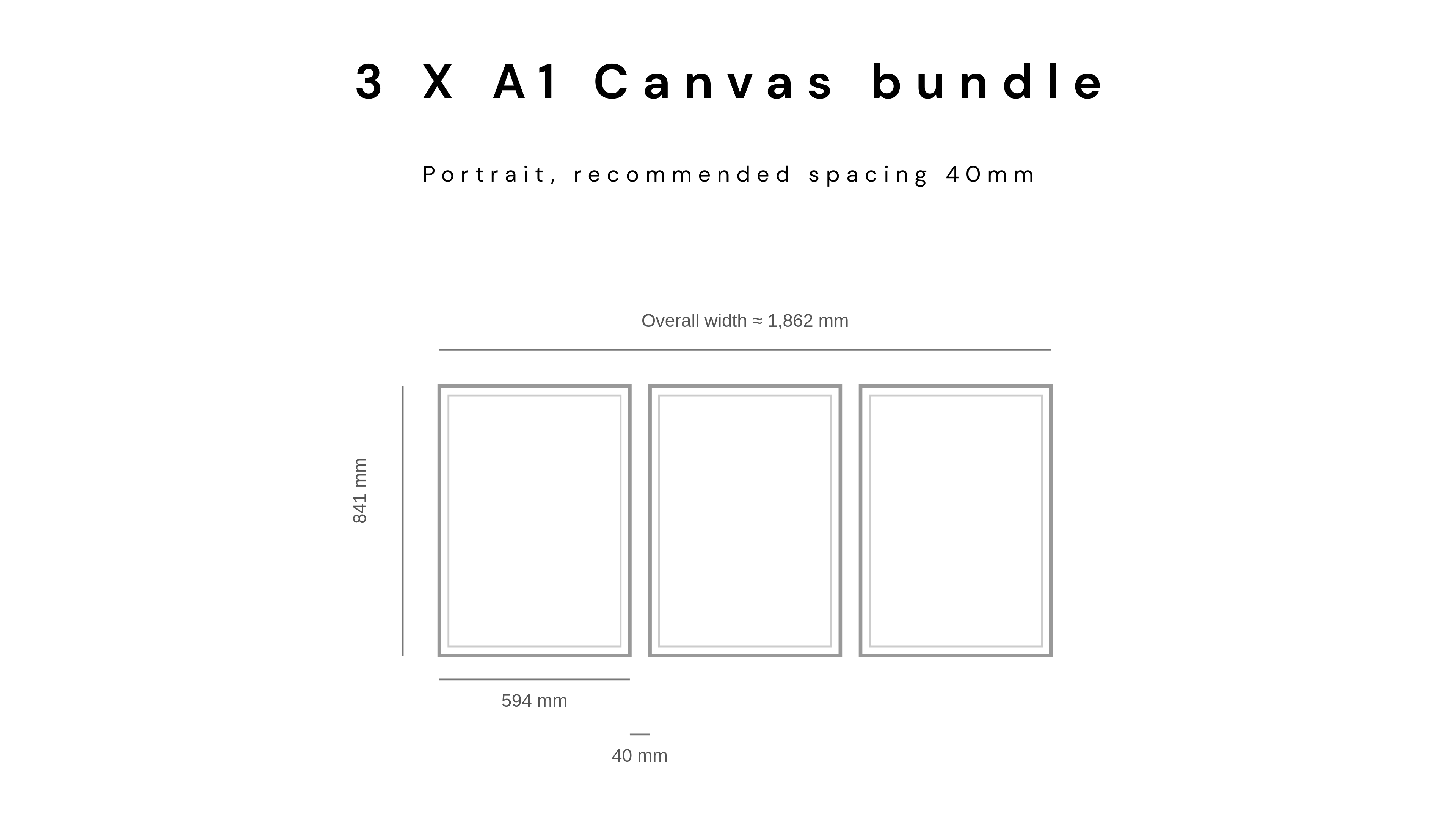3 X A1 Canvas Bundle