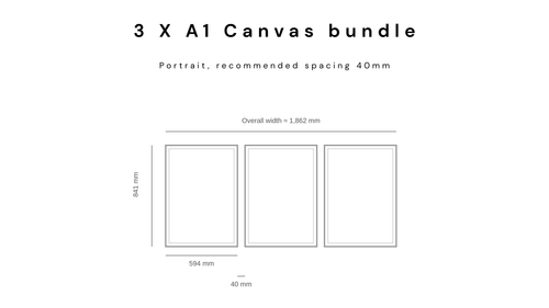 3 X A1 Canvas Bundle