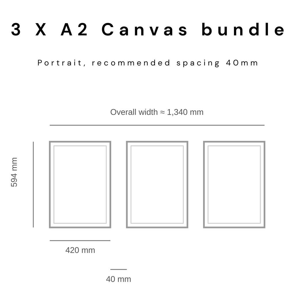 3 x A2 Canvas Bundle