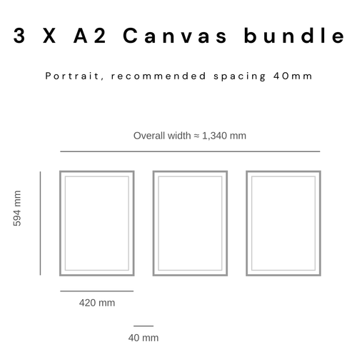 3 x A2 Canvas Bundle