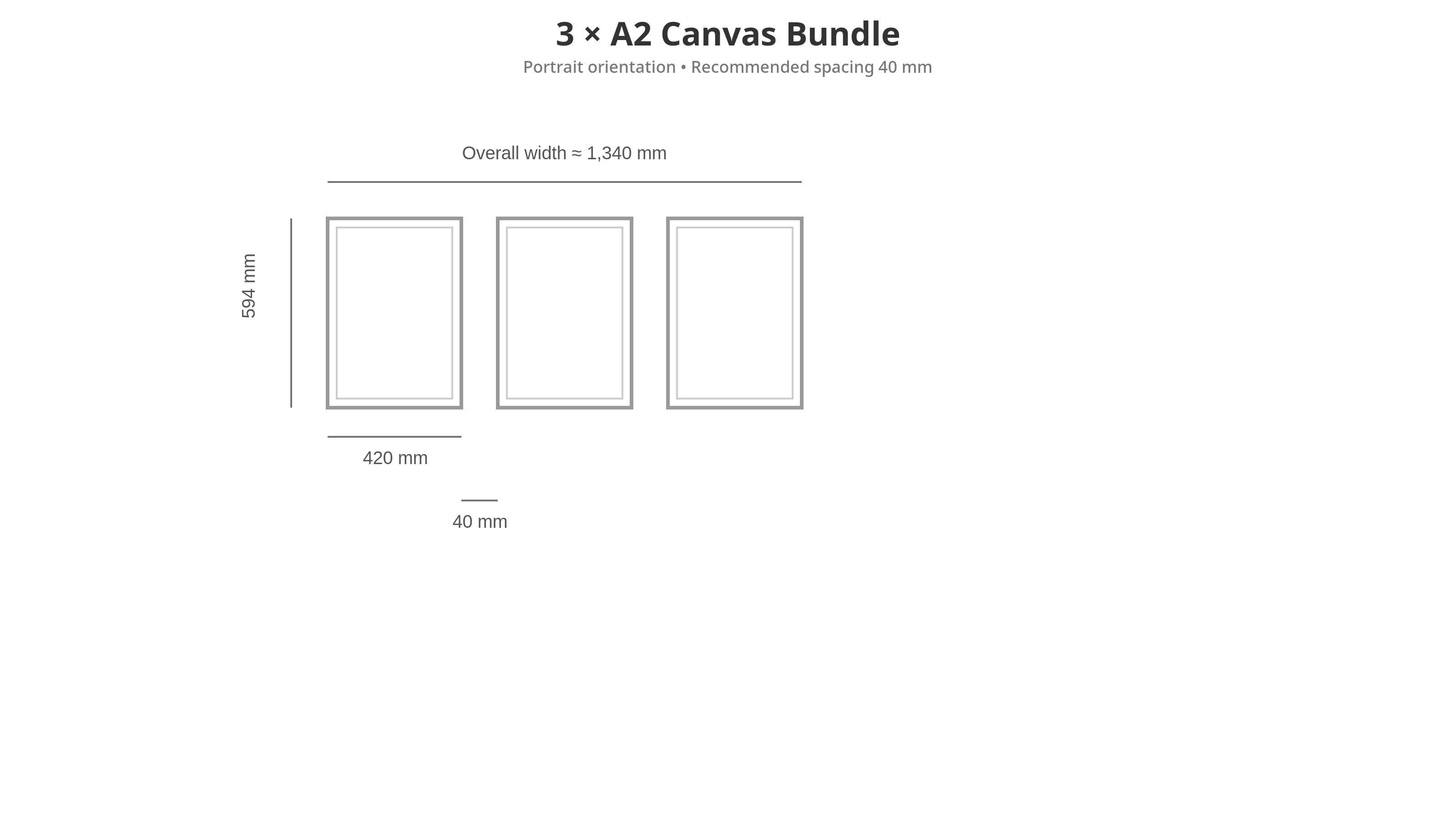Bold Animal Canvas Set