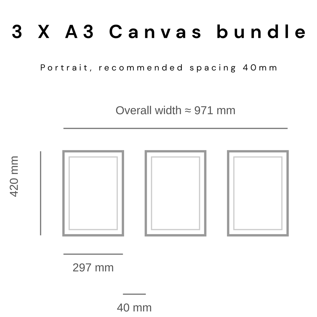 3 x A3 Canvas Bundle